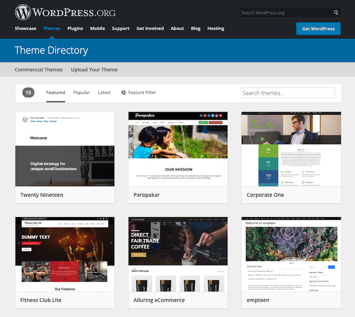 Theme options from WordPress